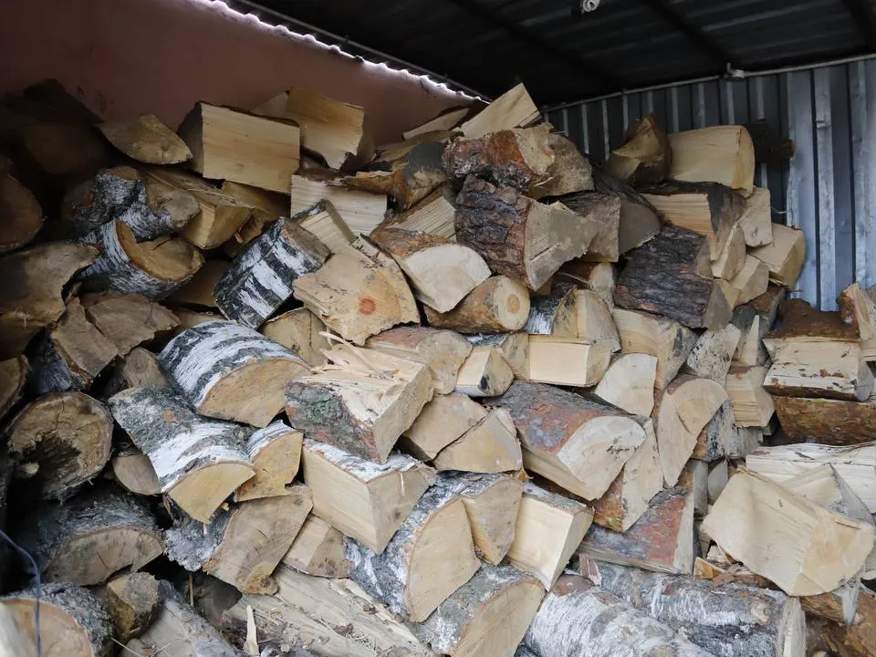 Фото: пресс-служба администрации г.о. Фрязино