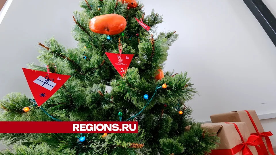 Фото: Юлия Андросова