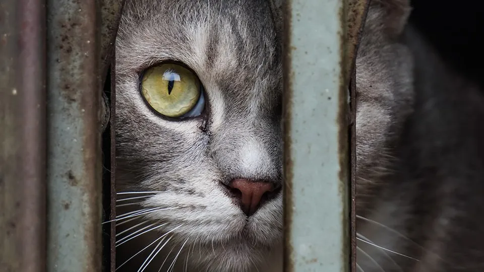 Фото: istockphoto.com/Rizky Ade Jonathan