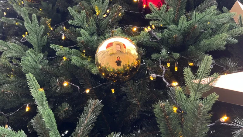 Фото: REGIONS/Татьяна Кордюкова