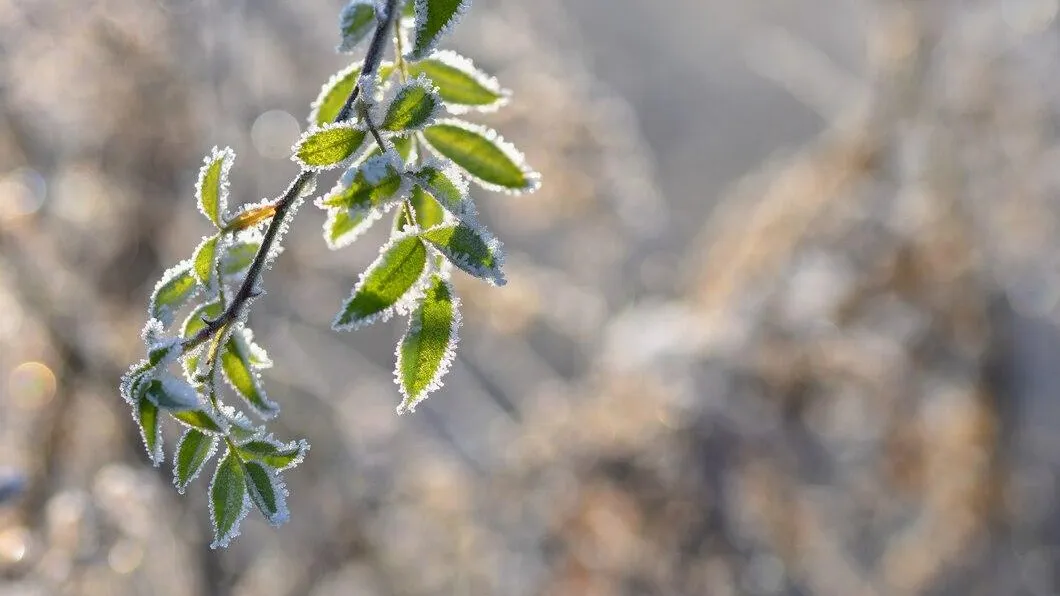 медиасток.рф