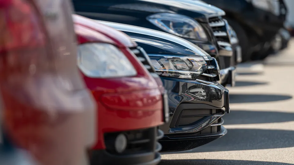 Фото: istockphoto.com/Askolds