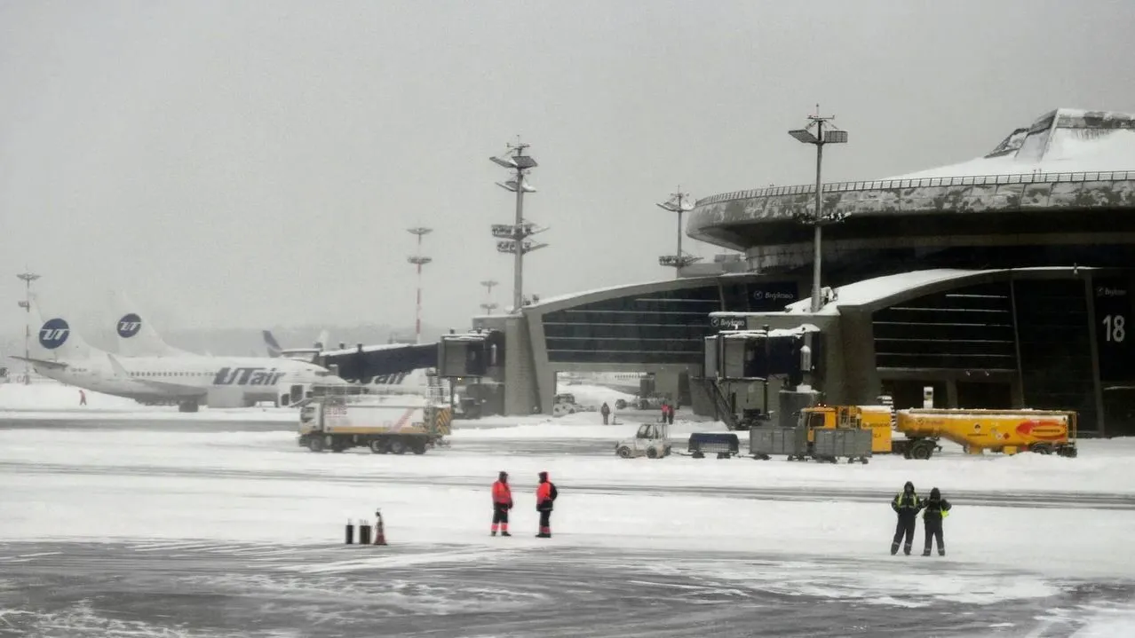 фото:соцсети