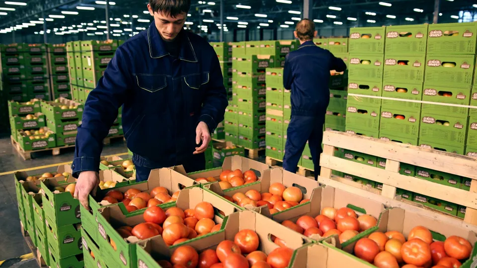 Фото: РИА Новости/Виталий Тимкив