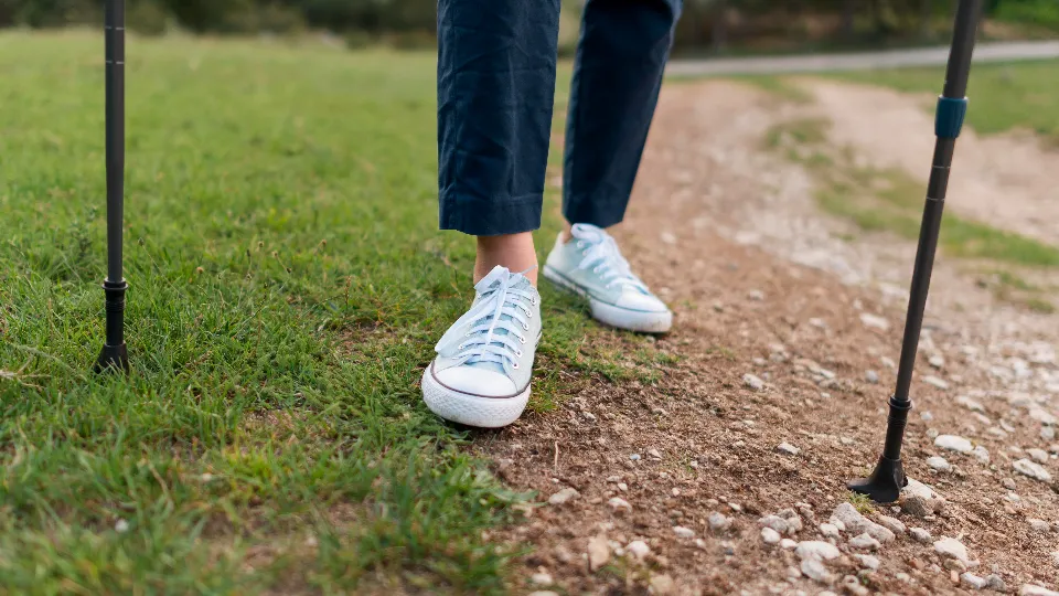 Фото: пресс-служба администрации Сергиево-Посадского г.о.