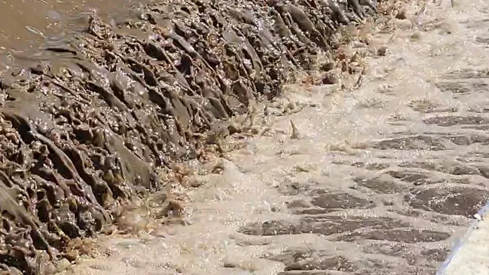 Фото: МедиаБанк Подмосковья/Роман Савельев