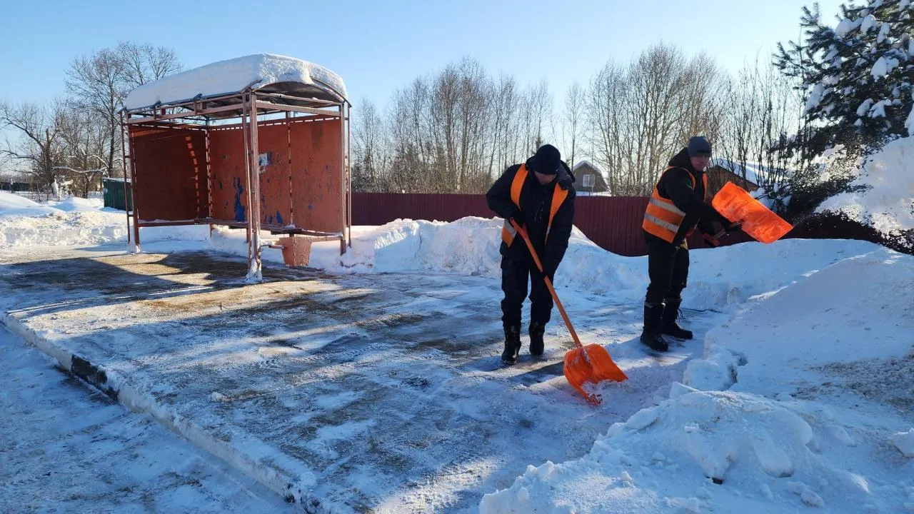 МедиаБанк Подмосковья/Дмитрий Беденко