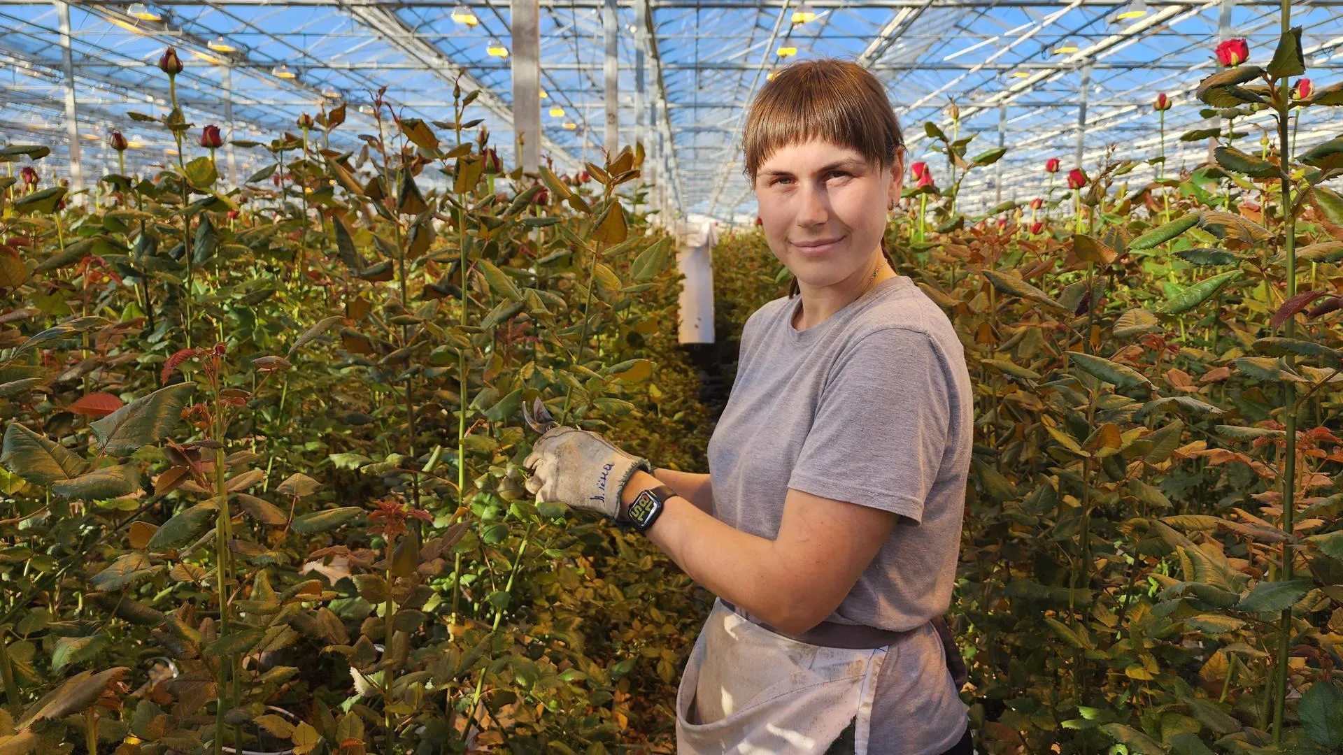 REGIONS/Евгений Рой