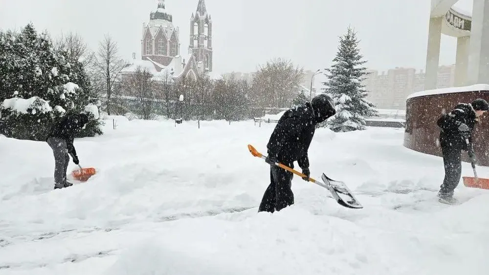 Министерство образования Московской области