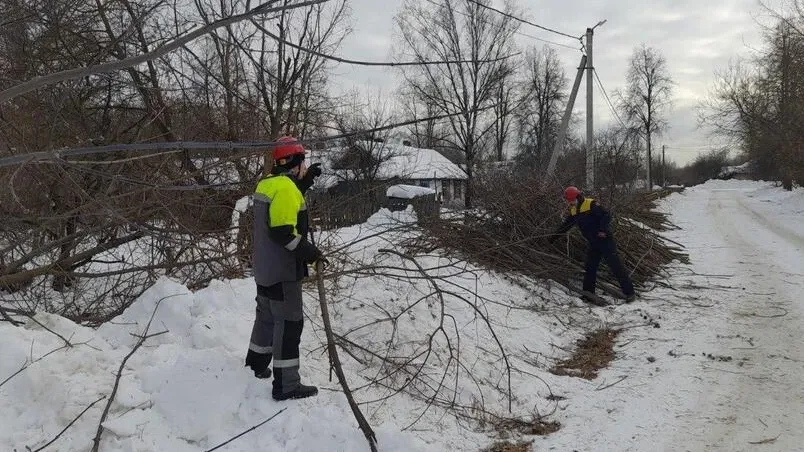 Фото: Пресс-служба Министерства энергетики Московской области