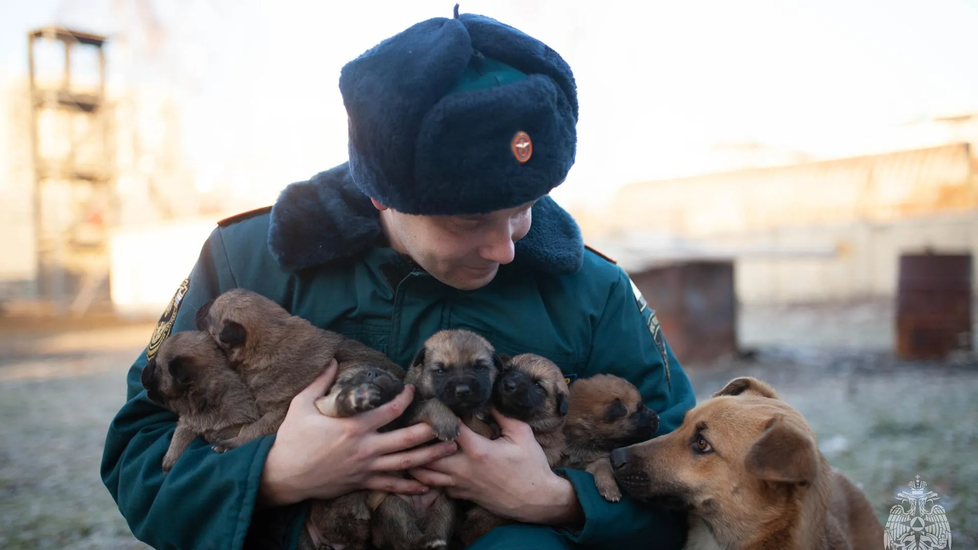 фото: пресс-служба ГУ МЧС России по Московской области