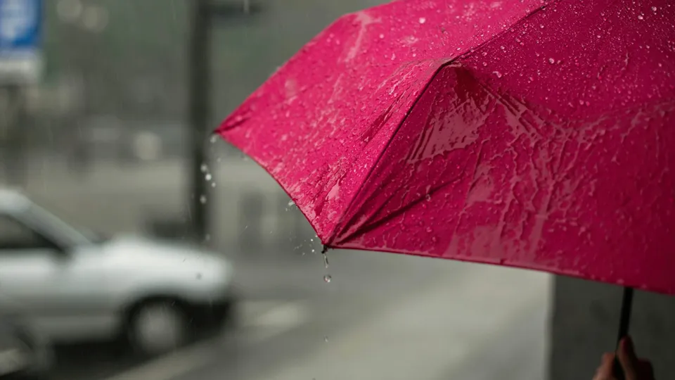 Фото: unsplash.com