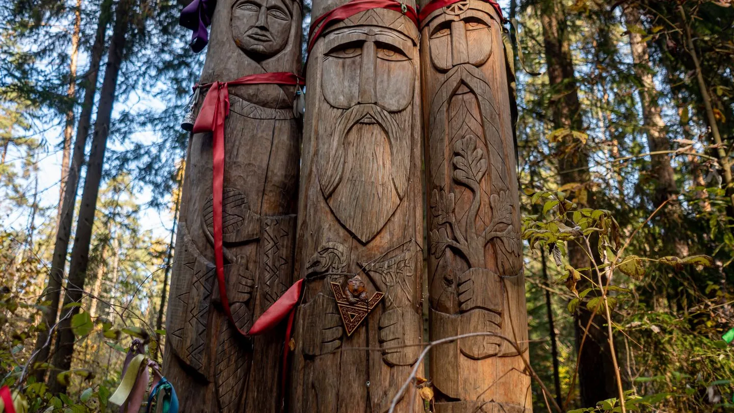 Фото: медиасток.рф