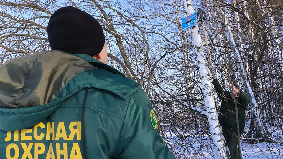Фото: МедиаБанк Подмосковья/Ирина Матвеева