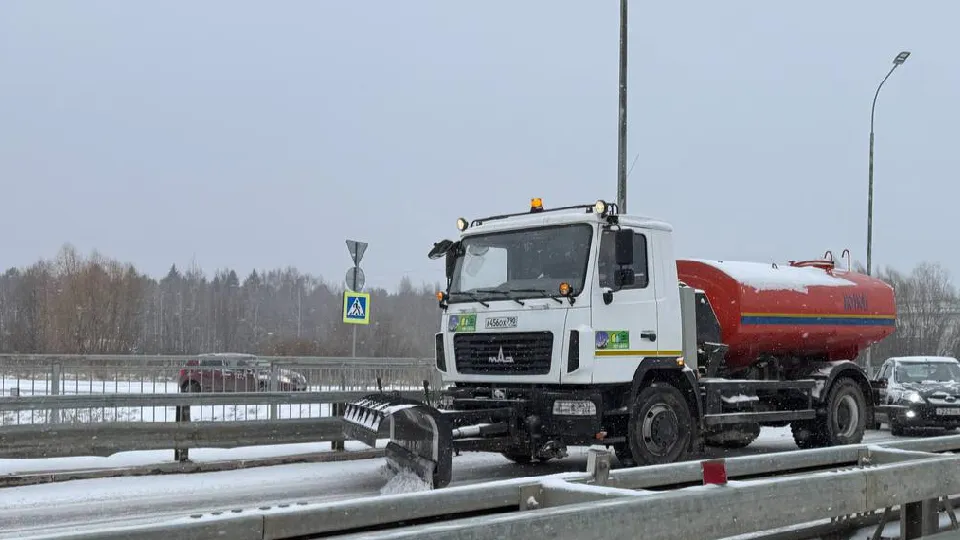 Фото: пресс-служба администрации г.о. Дубна