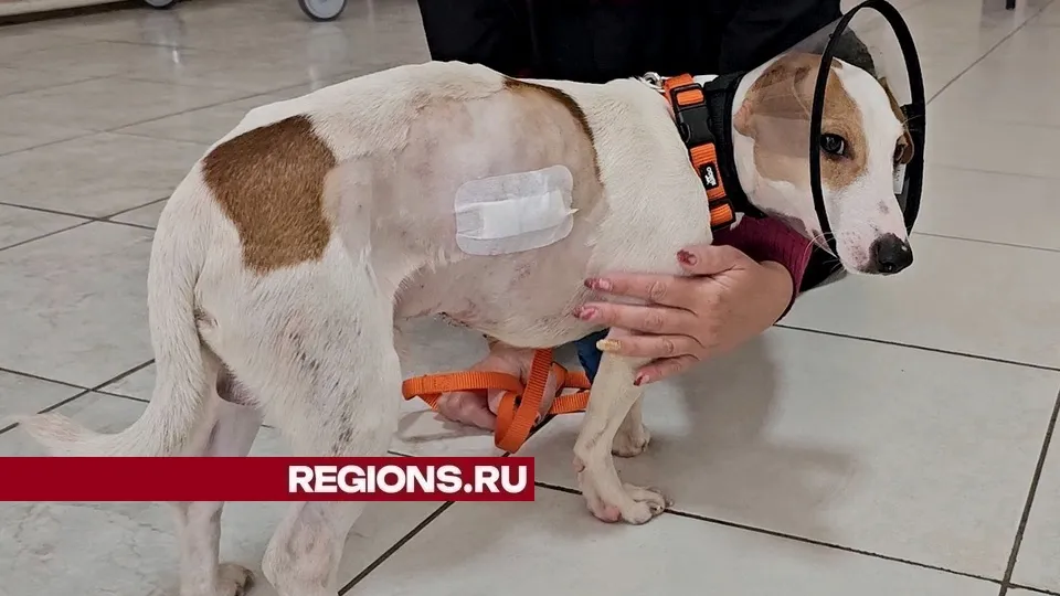 Фото: REGIONS/Александр Дрожжин