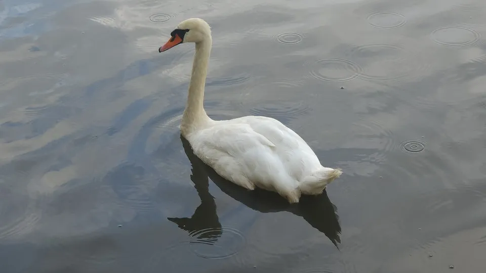 Фото: МедиаБанк Подмосковья/Валерия Исаева