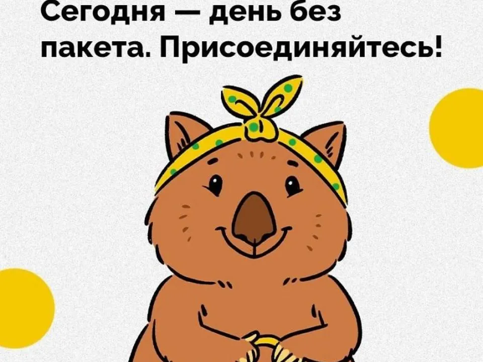 Фото: «РазДельный Сбор», публикуется с разрешения правообладателя