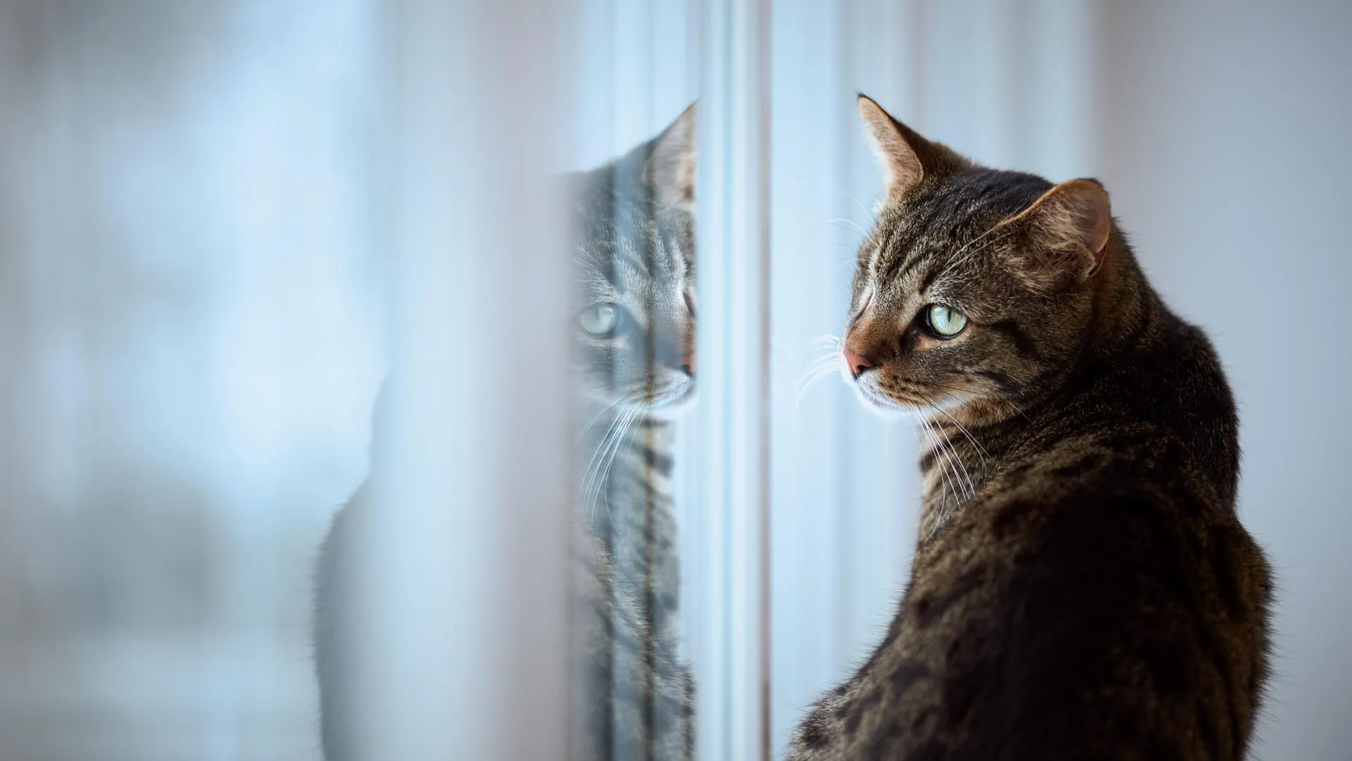 Sabine Fallend/http://imagebroker.com/#/search/