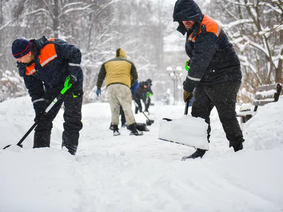 Фото: пресс-служба администрации г.о. Химки