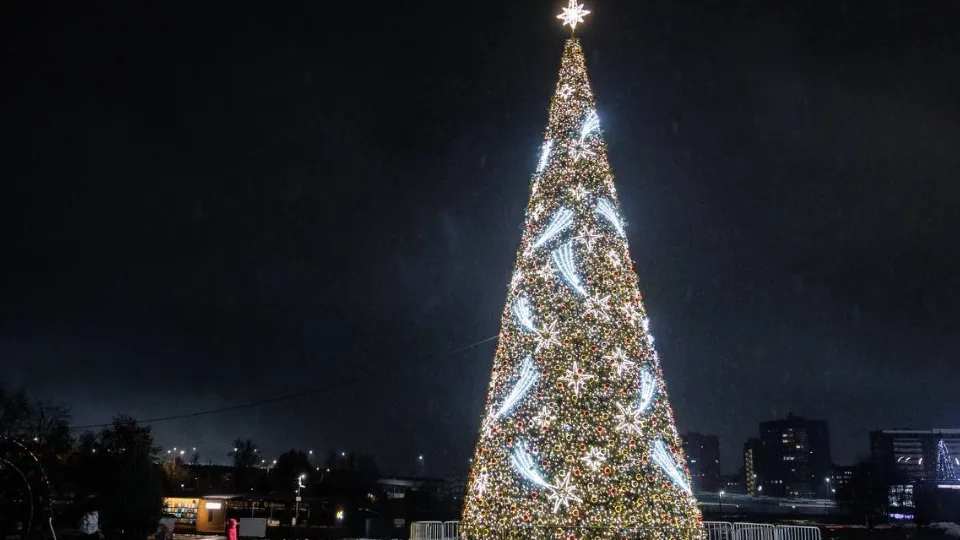 Фото: пресс-служба администрации г.о. Дубна