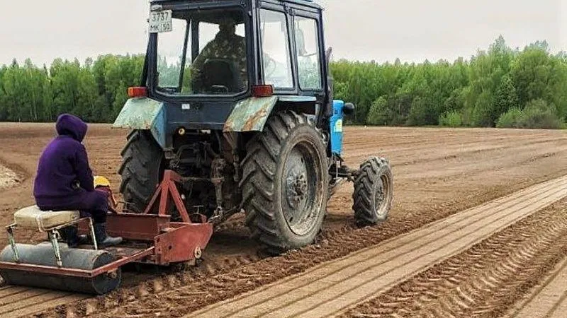 Пресс-служба Комитета лесного хозяйства Московской области