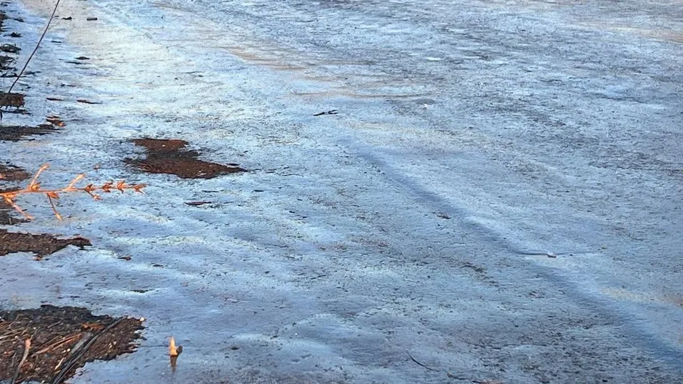 Фото: REGIONS/Елена Фурман