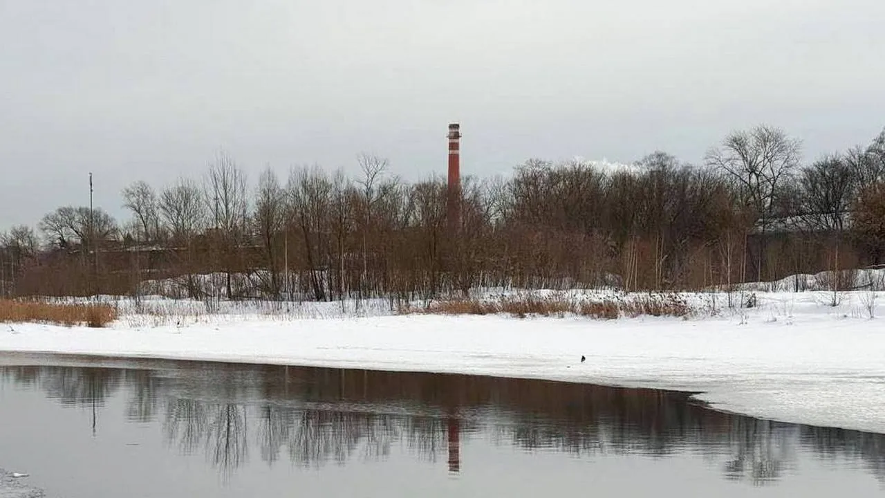 Фото: Пресс-служба администрации городского округа Мытищи