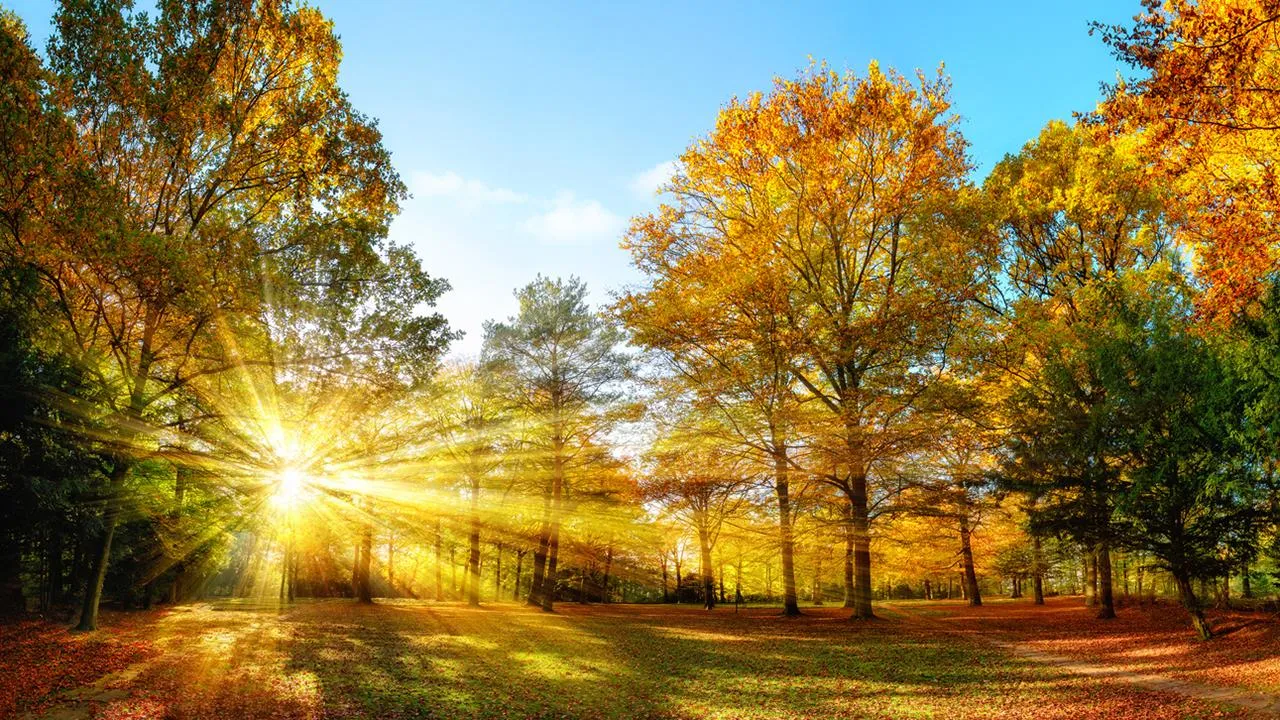 istockphoto.com/Smileus