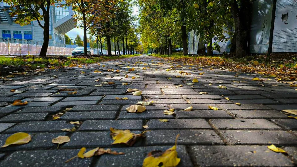 Фото: REGIONS/Роман Малышенко