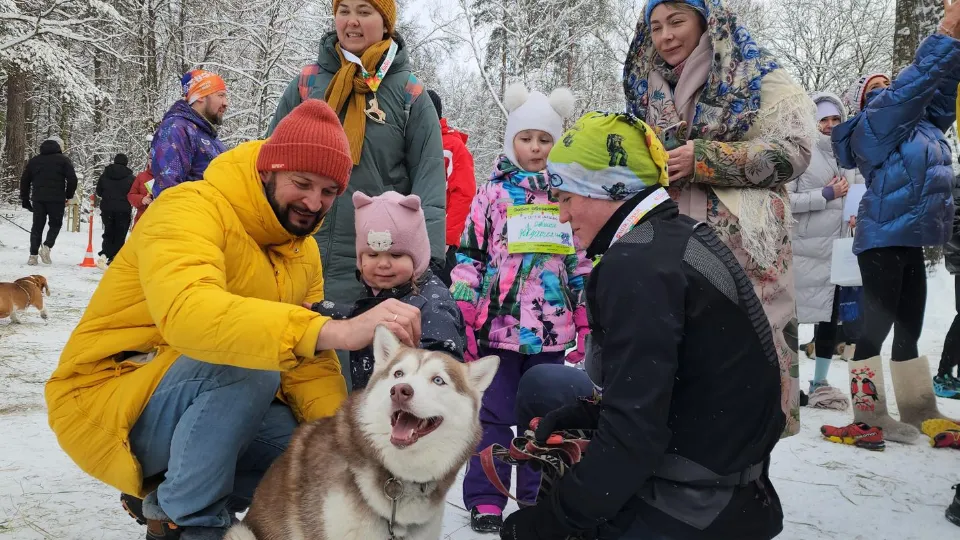 Фото: МедиаБанк Подмосковья/Андрей Алекин