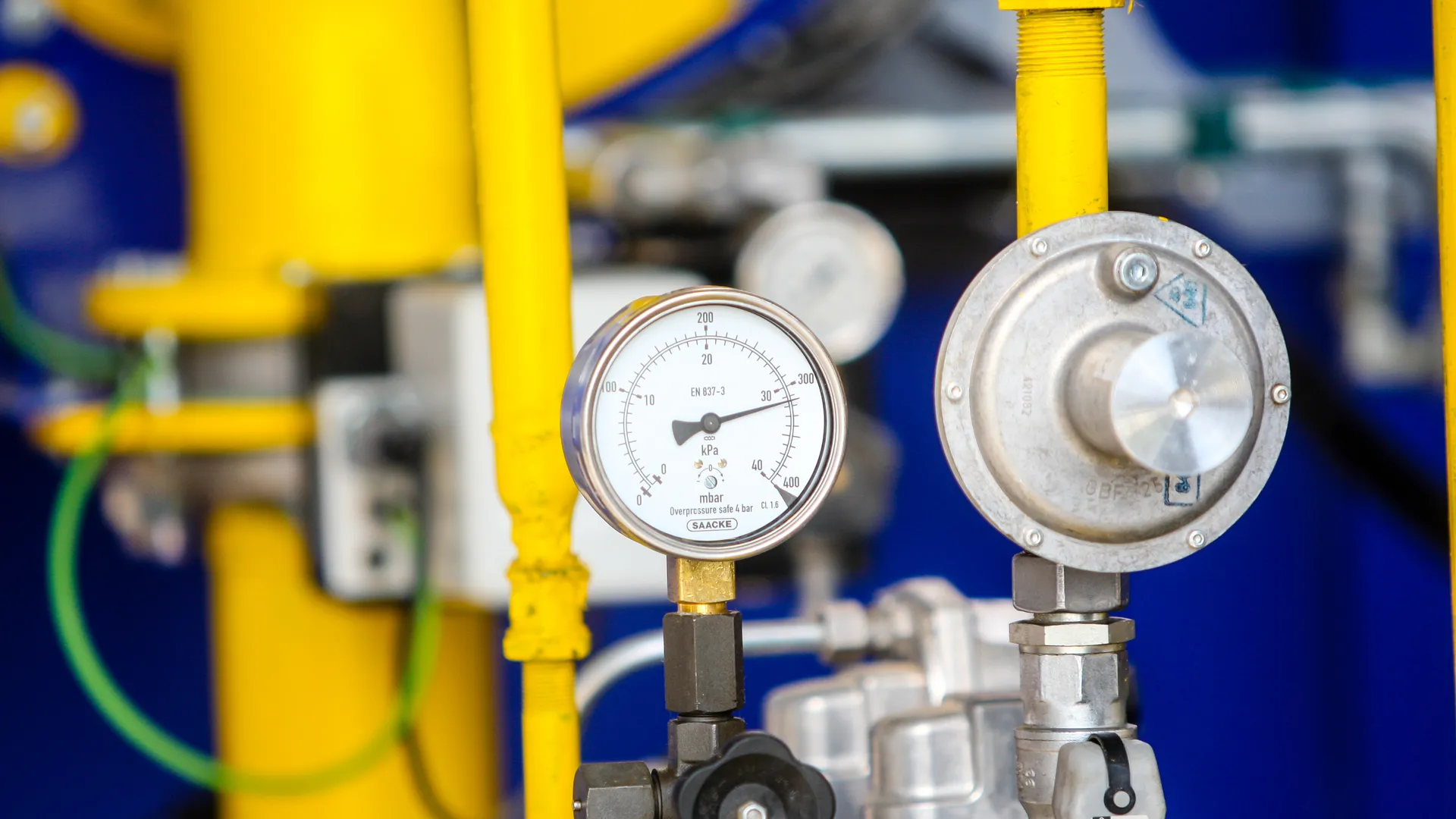 Фото: пресс-служба Администрации г.о. Кашира