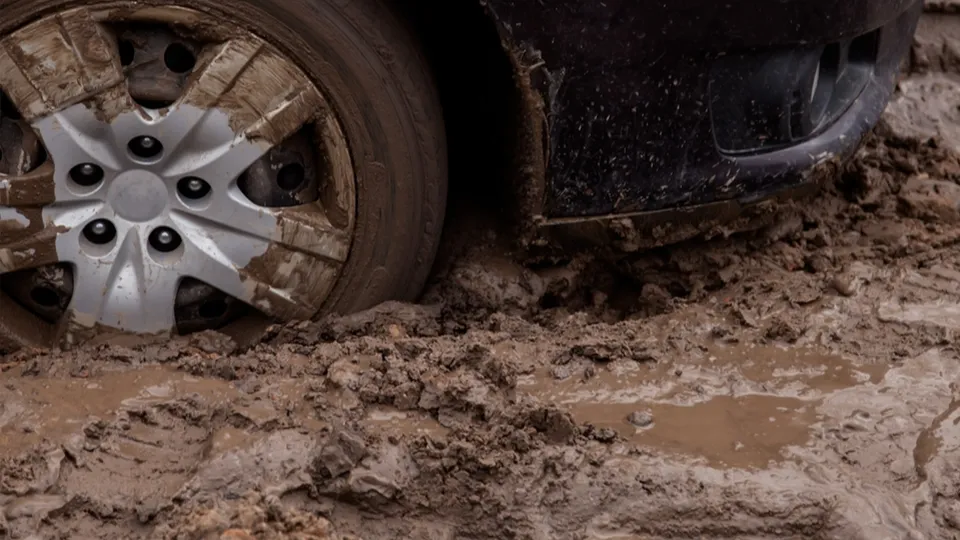 Фото: istockphoto.com