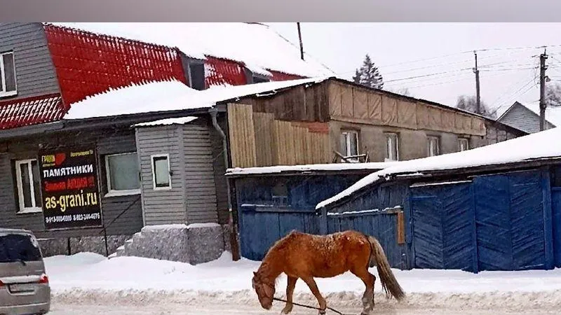 Соцсети