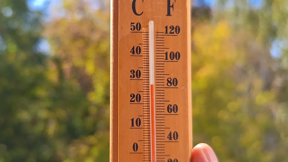 Фото: REGIONS/Алексей Селиверстов