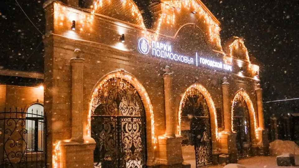 Фото: t.me/zamirgadzgiev