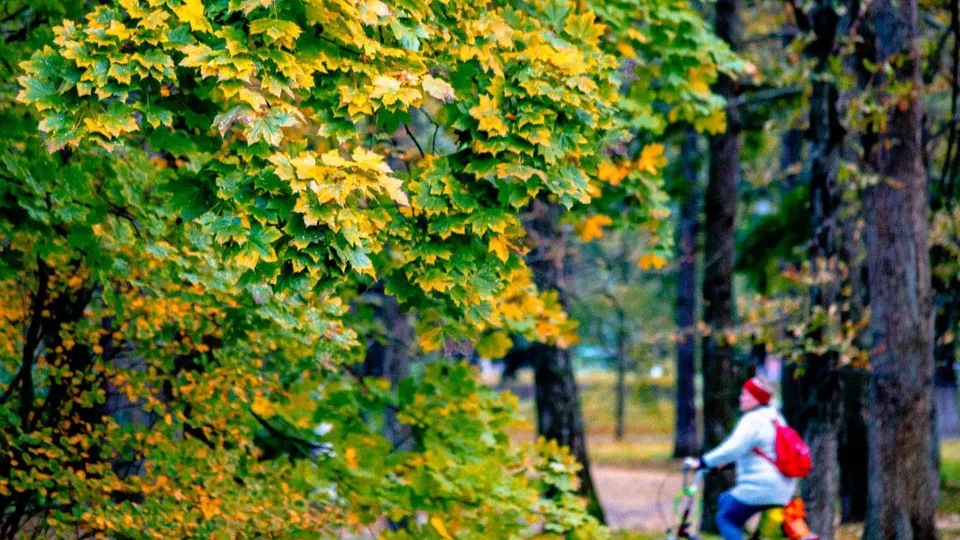 Фото: городской парк культуры и отдыха г.о. Жуковский