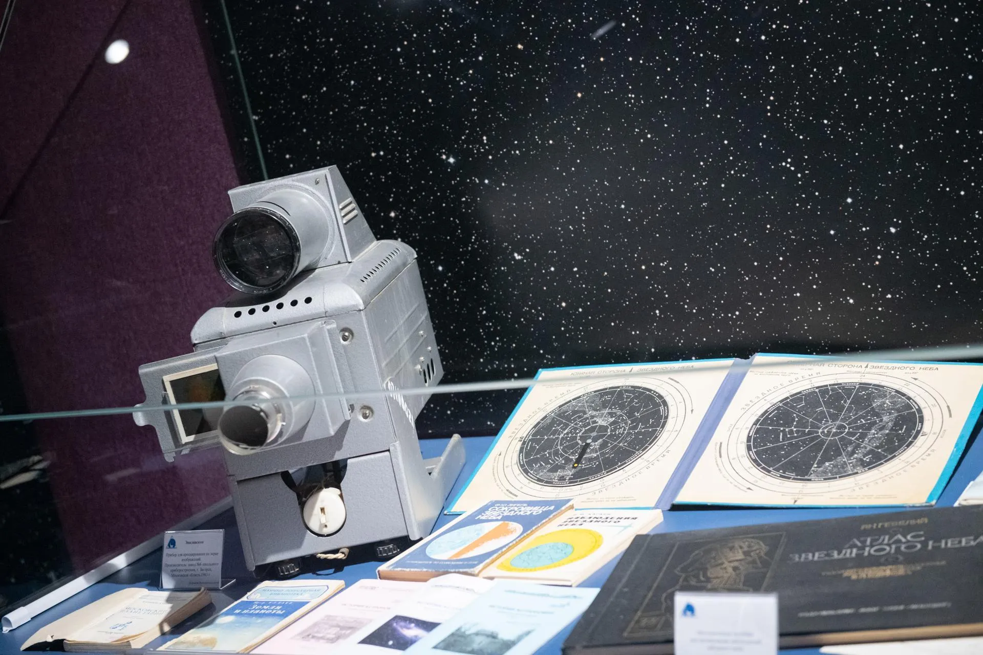 Фото: Анастасия Харченко