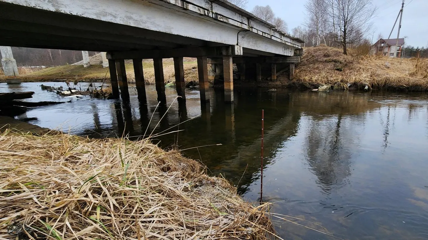 Фото: Екатерина Данилина