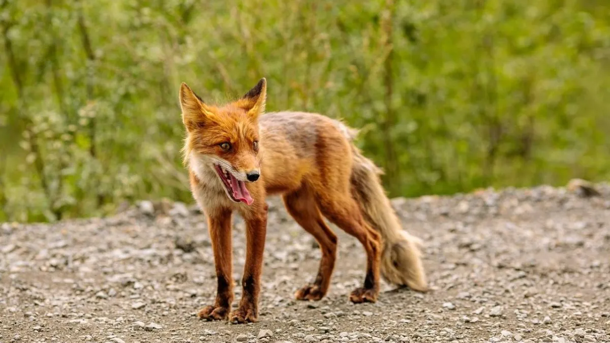 Фото: freepic.ru