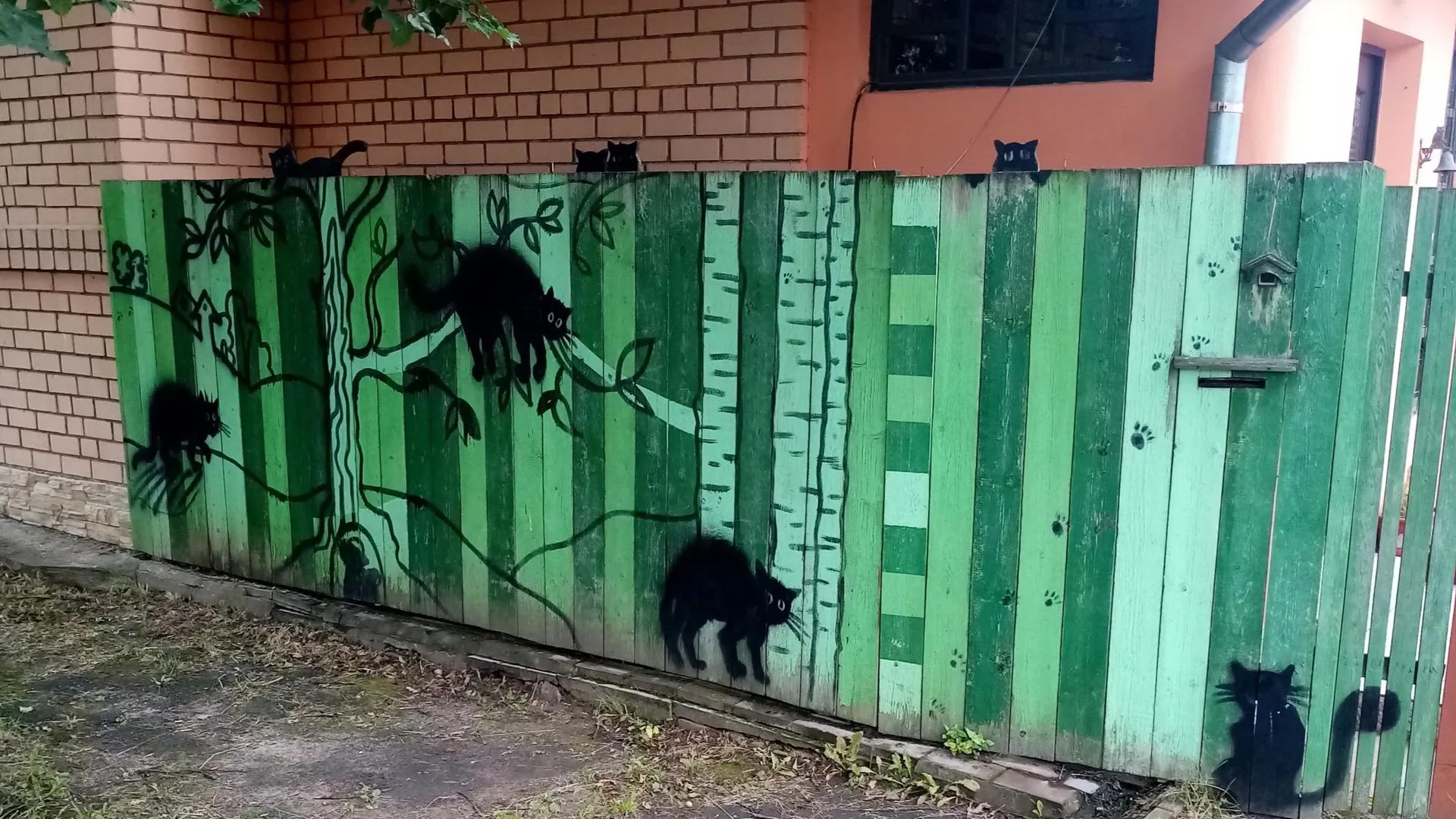 Фото соцсети.