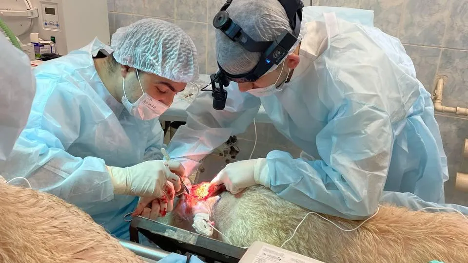 Университет МИСИС