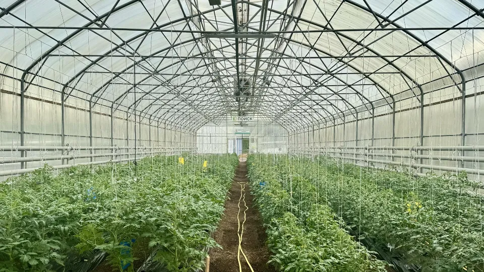 Фото: Министерство сельского хозяйства и продовольствия Московской области