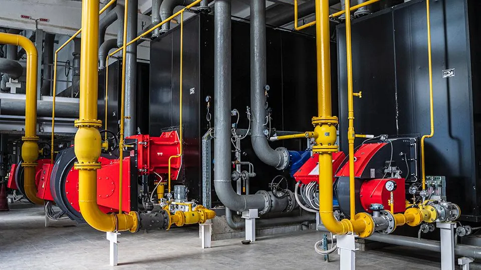 Фото: пресс-служба губернатора и правительства Московской области