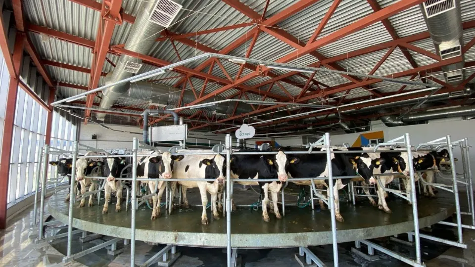 Фото: пресс-служба администрации г.о. Коломна