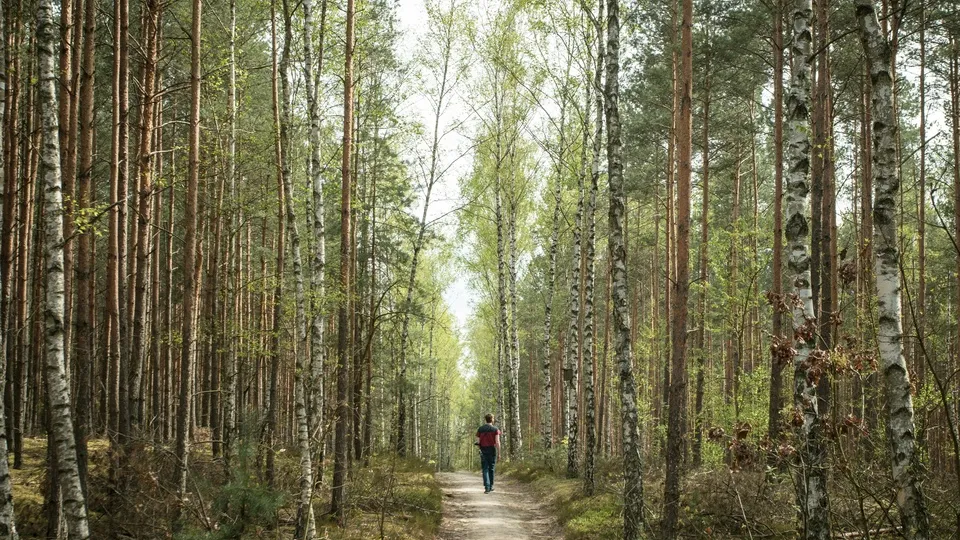 Фото: unsplash.com