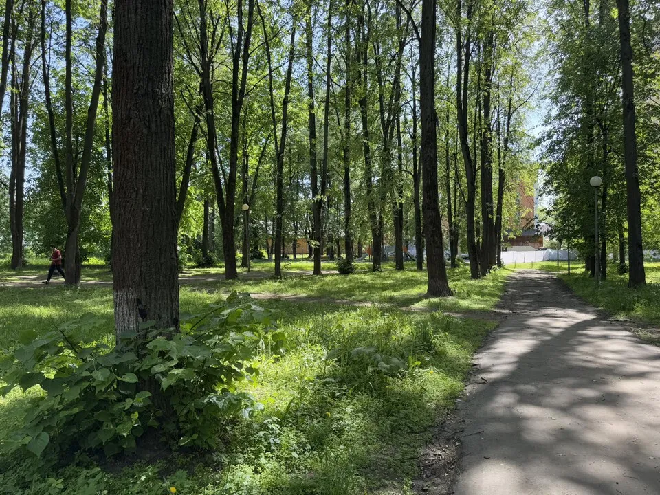 Фото: Виктория Фортуна