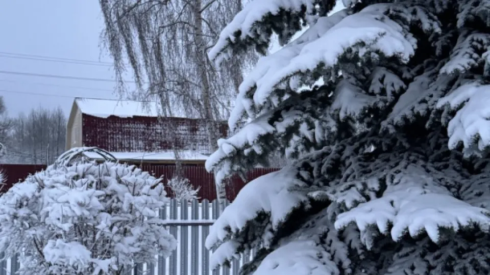 Фото: REGIONS/Дарина Левкина