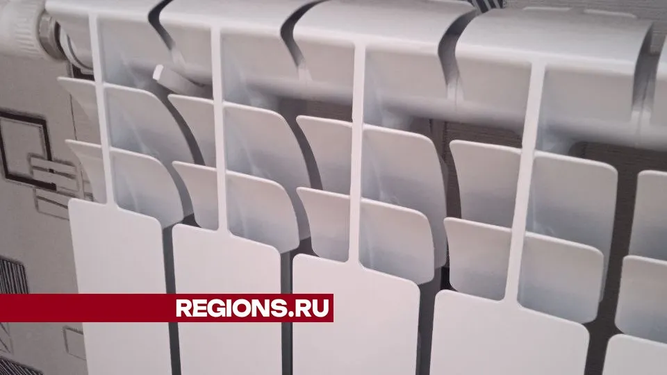 Фото: REGIONS/Юлия Куделькина