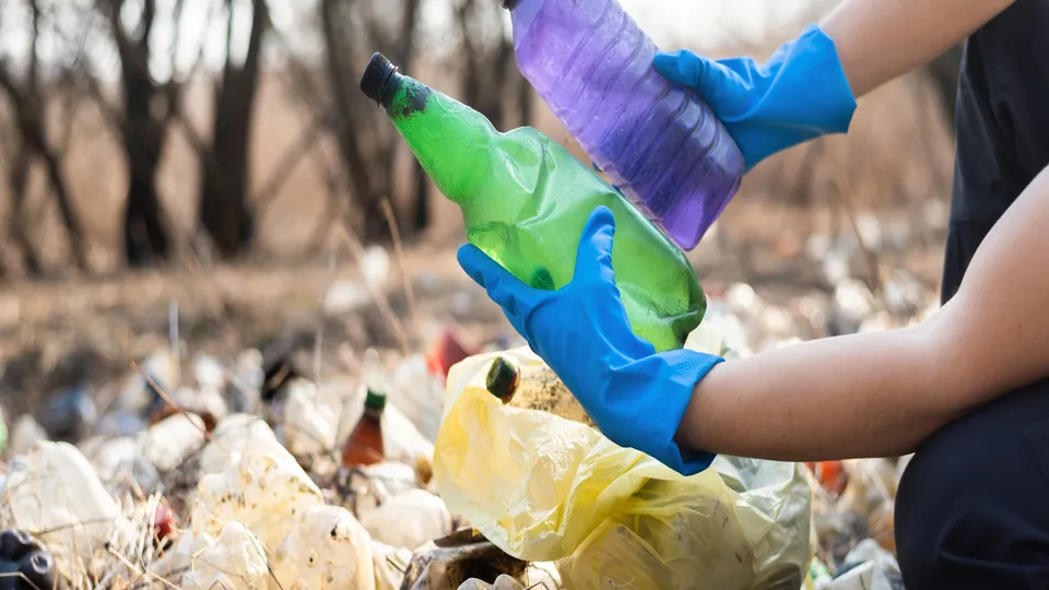 Фото: freepik.com